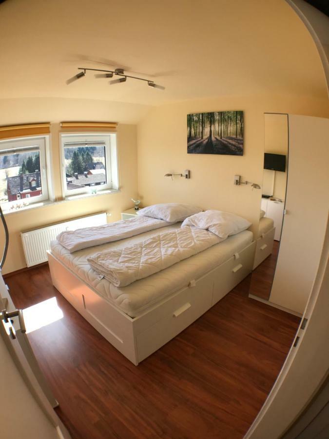 Ferienwohnung Jule Braunlage Exterior photo